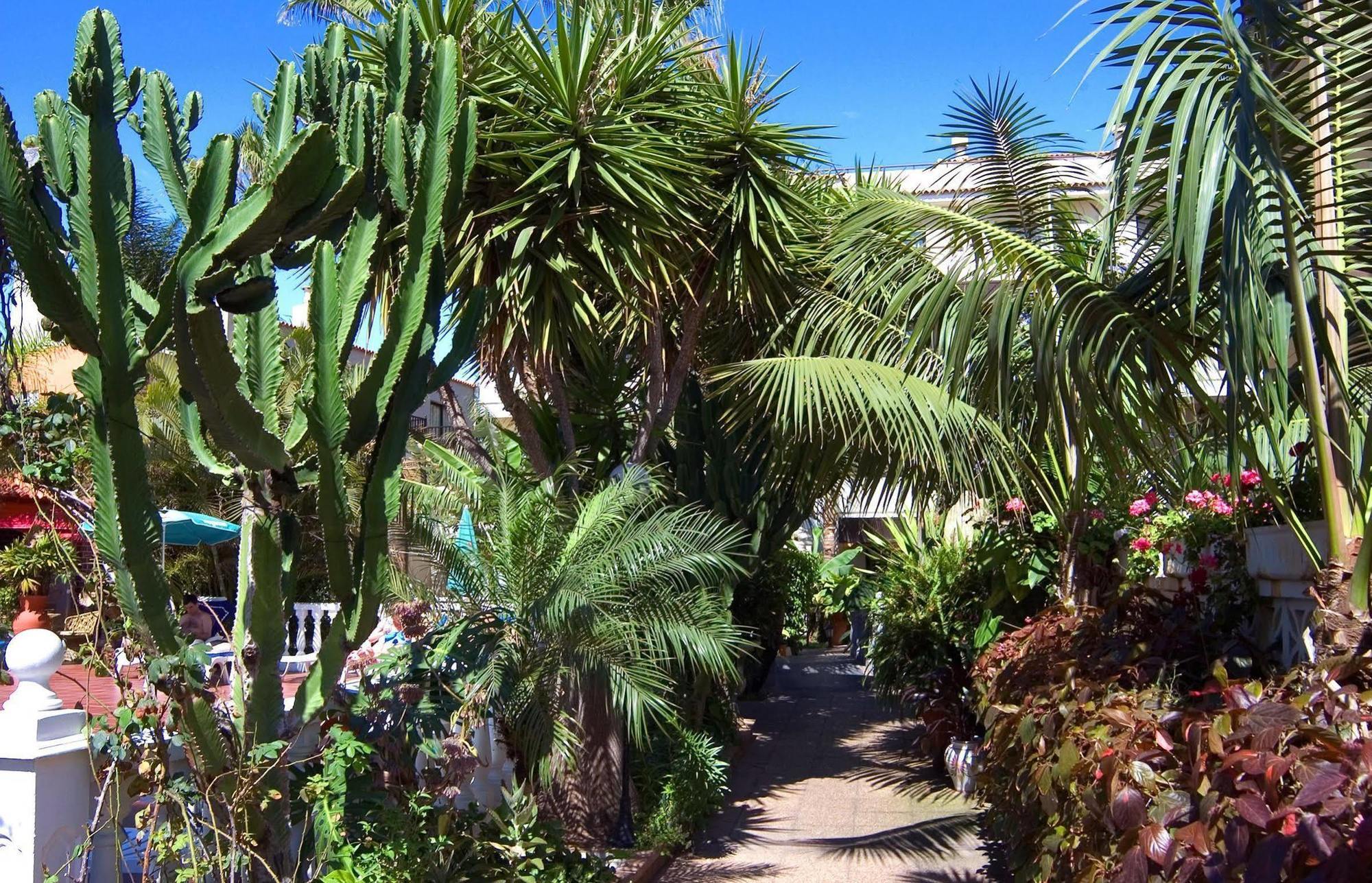 Hotel Don Manolito Puerto de la Cruz  Eksteriør bilde